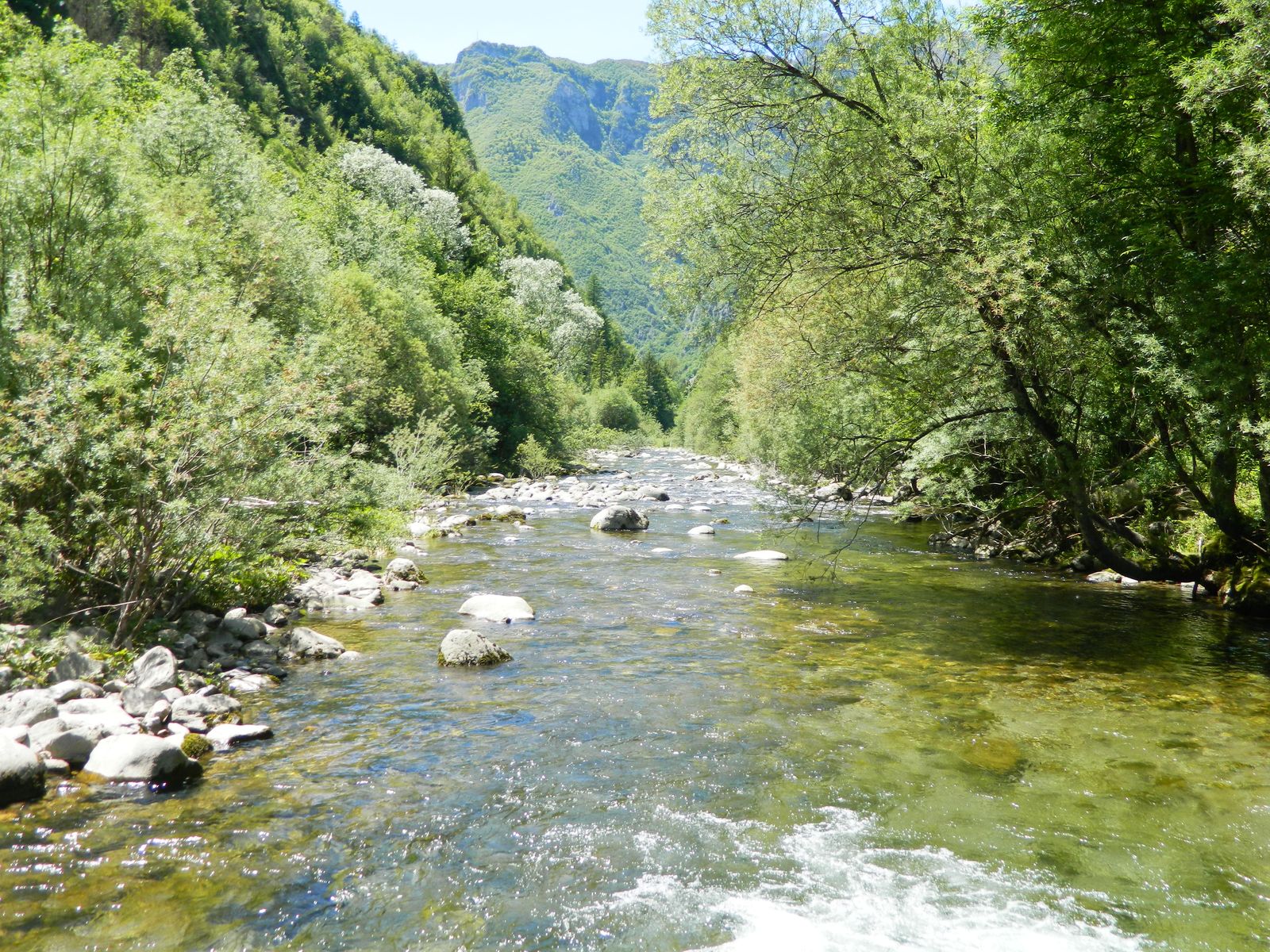 Gara Camp Sociali 00027